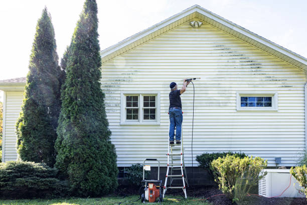 Best Roof Power Washing Services  in Curwensville, PA