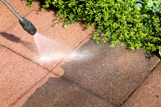 Best Roof Power Washing Services  in Curwensville, PA